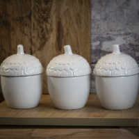 Acorn Container