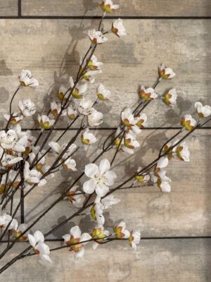 Silk Japanese Cherry Blossom Stem- Cream - Image 3