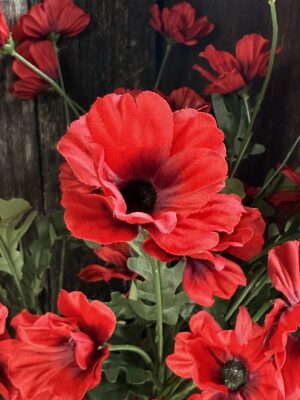 Wild Meadow Poppy Stem - Red - Image 3