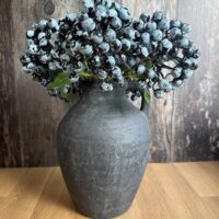 Blueberry Stem