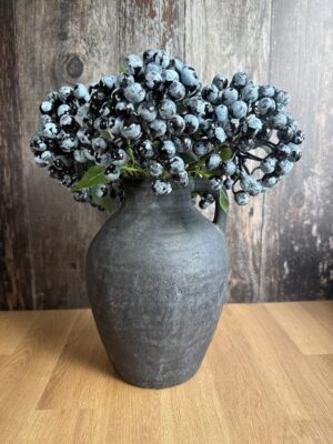 Blueberry Stem