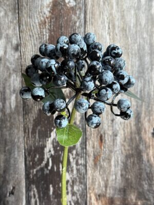 Blueberry Stem - Image 2