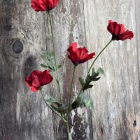 Wild Meadow Poppy Stem - Red