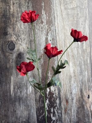 Wild Meadow Poppy Stem - Red