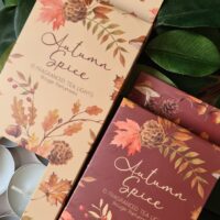Autumn Spice Tealights