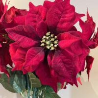 Red Velvet Poinsettia With Gold Glittered Centre