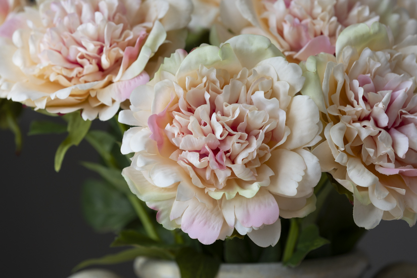 Real Touch Open Peony in Peach