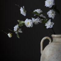 White Cherry Blossom Stem Small